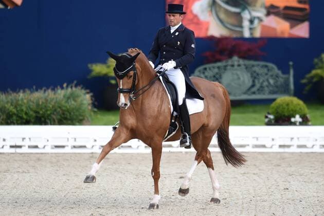 Dressage Horses and Dreams 2018 CDI4 GP FS Grand Prix Freestyle to Music on 28 04 2018 at the Hof Kasselmann in Hagen a T W Pierre Volla France on the horse Badinda Altena MT