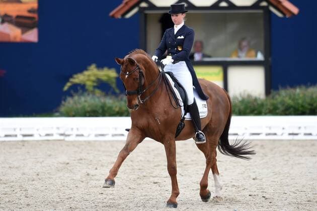 Dressage Horses and Dreams 2018 CDI4 Grand Prix Grand Prix Freestyle to Music on 28.04.2018 at Hof Kasselmann in Hagen a T W Fabienne Lütkemeier Luetkemeier Germany on horseback D Agostino FRH MT