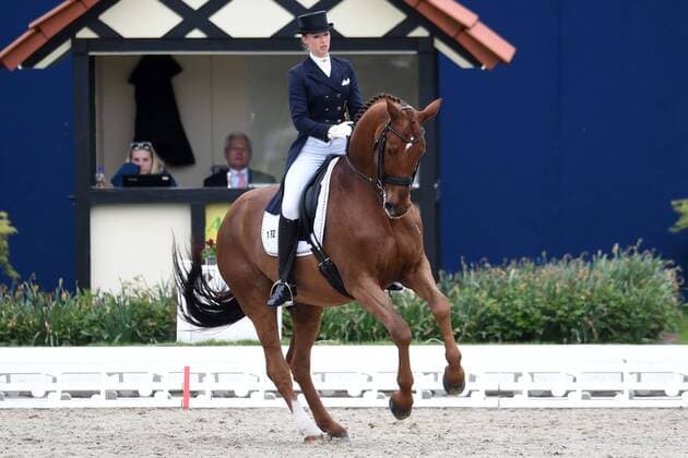 Dressage Horses and Dreams 2018 CDI4 Grand Prix Grand Prix Freestyle to Music on 28.04.2018 at Hof Kasselmann in Hagen a T W Fabienne Lütkemeier Luetkemeier Germany on horseback D Agostino FRH MT