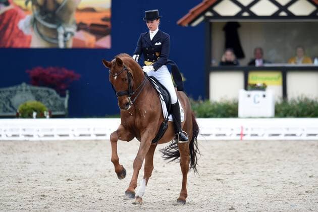 Dressage Horses and Dreams 2018 CDI4 Grand Prix Grand Prix Freestyle to Music on 28.04.2018 at Hof Kasselmann in Hagen a T W Fabienne Lütkemeier Luetkemeier Germany on horseback D Agostino FRH MT