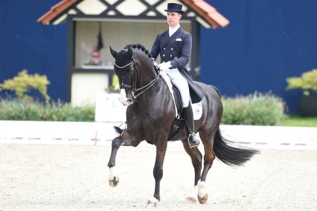 Dressage Horses and Dreams 2018 CDI4 GPS Grand Prix Special GPS on 29 04 2018 at the farm Kasselmann in Hagen a T W Benjamin Werndl Germany on horseback Daily Mirror 9 ST