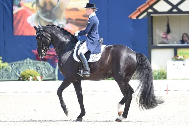 Dressage Horses and Dreams 2018 CDI4 GPS Grand Prix Special GPS on 29 04 2018 at the farm Kasselmann in Hagen a T W Therese Nilshagen Sweden on horseback Dante Weltino Old ST
