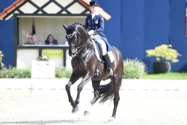 Dressage Horses and Dreams 2018 CDI4 GPS Grand Prix Special GPS on 29 04 2018 at the farm Kasselmann in Hagen a T W Therese Nilshagen Sweden on horseback Dante Weltino Old ST