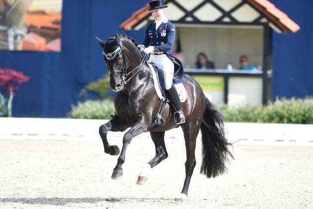 Dressage Horses and Dreams 2018 CDI4 GPS Grand Prix Special GPS on 29 04 2018 at the farm Kasselmann in Hagen a T W Therese Nilshagen Sweden on horseback Dante Weltino Old ST