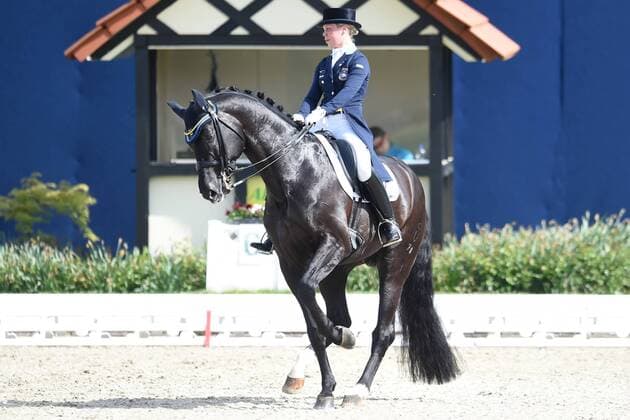 Dressage Horses and Dreams 2018 CDI4 GPS Grand Prix Special GPS on 29 04 2018 at the farm Kasselmann in Hagen a T W Therese Nilshagen Sweden on horseback Dante Weltino Old ST