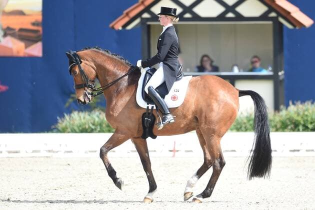 Dressage Horses and Dreams 2018 CDI4 GP Grand Prix Special GPS on 29 04 2018 at Hof Kasselmann in Hagen a T W Jessica von Bredow Werndl Germany on Horseback Zaire E ST