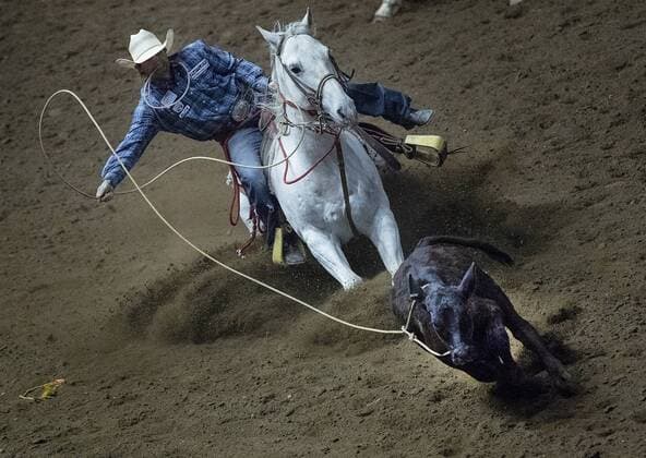 Bilder des Tages - SPORT April 29, 2018 - Falcon Heights, MN, USA - Cody Huber of Albia, Iowa competes in the Tie Down Roping competition at the PRCA Rodeo on Sunday, April 29, 2018 during the Minnesota Horse Expo at the Minnesota State Fair Grounds in Falcon Heights, Minn. PRCA Rodeo during the Minnesota Horse Expo - ZUMAm67_ 20180429_zaf_m67_098 Copyright: xCarlosxGonzalezx