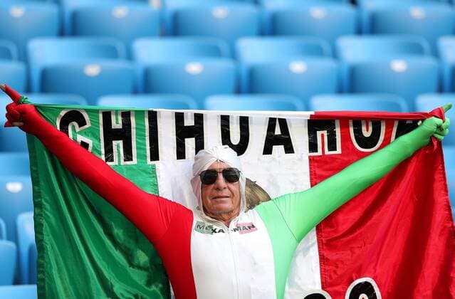 Brazil vs. Mexico SAMARA, SA - 02.07.2018: BRAZIL VS. MEXICO - Supporter during the match between Brazil and Mexico, valid for the eighth round of the 2018 World Cup held at the Samara Arena in Samara, Russia. (Photo: Rodolfo Buhrer La Imagem Fotoarena) x1560436x  RodolfoxBuhrer