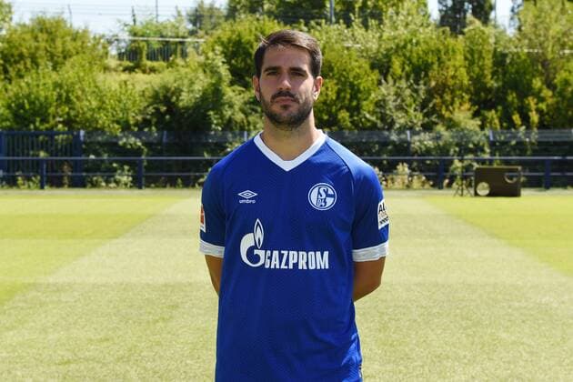 Pablo Insua FC Schalke 04 1 BL Portrait date 2018 2019 Team2