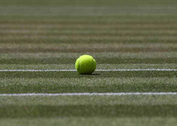 Wimbledon feature tennis ball on the grass close up detail icon Copyright: xJuergenxHasenkopfx