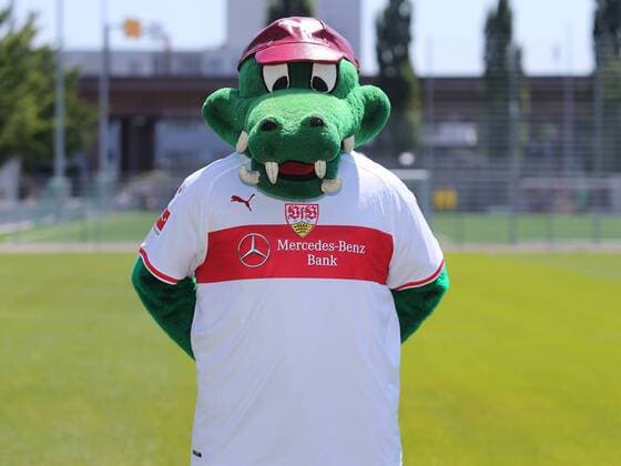 Mascot Fritzle VfB Stuttgart 1893 1 BL Portraettermin 2018 2019