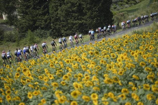 Sport - Bilder des Tages Illustration picture shows the pack of riders in action, passing a field of sunflowers during the 16th stage of the 105th edition of the Tour de France cycling race, 218km from Carcassone to Bagneres-de-Luchon, France, Tuesday 24 July 2018. This year s Tour de France takes place from July 7th to July 29th. - FRANCE OUT YORICKxJANSENS  x05391727x