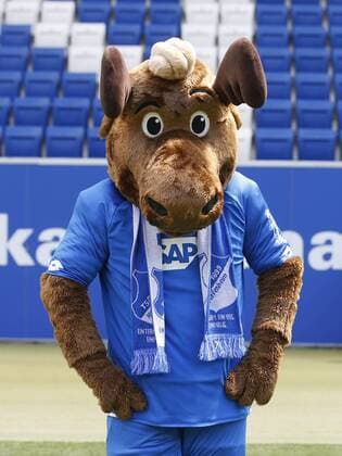 Mascot Hoffi TSG 1899 Hoffenheim Portrait Date TSG 1899 Hoffenheim 2018 2019 Sinsheim GER 25 07 2018 Soccer 1 Bundesliga 2018 2019