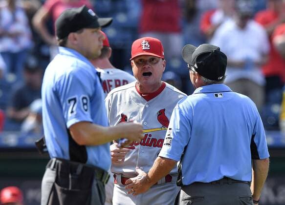 August 12, 2018 - Kansas City, MO, USA - St. Louis Cardinals interim manager Mike Shildt yells at home plate umpire Adam Hamari after relief pitcher Tyler Webb was tossed after hitting Kansas City Royals Jorge Bonifacio with a pitch in the ninth inning on Sunday, Aug. 12, 2018 at Kauffman Stadium in Kansas City, Mo. St. Louis Cardinals vs. Kansas City Royals - ZUMAm67_ 20180812_zaf_m67_084 Copyright: xJohnxSleezerx