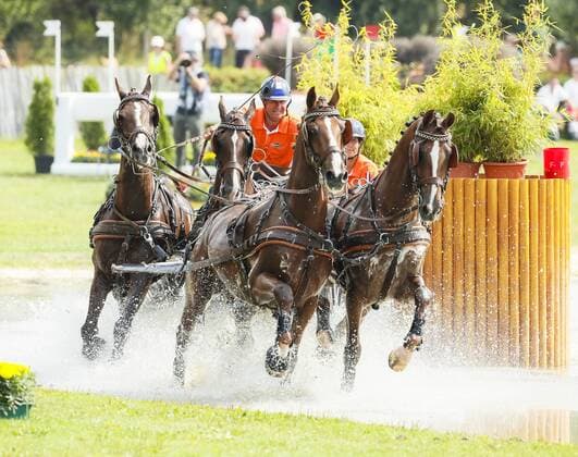 18 23 d5146 Koos de Ronde NED Marathon 2018 07 21 16 46 43h CHIO AACHEN Equestrian World Championships Aachen Aachen Soers Germany F4 Schwartz GmbH Preliminary Test for Four-Passengers 2 Partial Exam Team Individual Classification Marathon Driving Competition for Four in Hand Drivers 2nd Rating Competition Individual Team Equestrian Drive