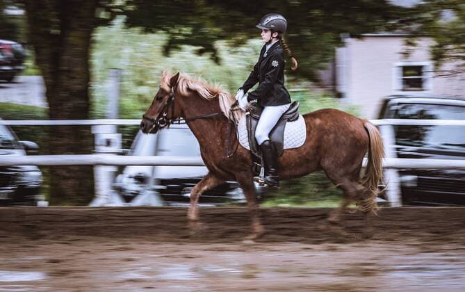 THEME PICTURE a young rider with her Icelandic horse during a riding test at the Reiterhof Burghauser taken on 31 August 2018 in Strasswalchen Austria a young girl with her Icelandic horse during a riding test at the Reiterhof Burghauser Strasswalchen Austria on 2018 08 31 Straaewalchen  EX_FEI