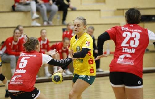Germany Hattersheim 04 11 2018 Handball Hesse 3 League West Women Season 2018 2019 TSG Eddersheim red SC Markranstädt yellow v l Alexandra Flebbe Eddersheim Jenice Funke Markranstädt Lena Thoß Eddersheim Sport TSG Eddersheim SC Markranstädt