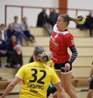 Germany Hattersheim 04 11 2018 Handball Hesse 3 League West Women Season 2018 2019 TSG Eddersheim red SC Markranstädt yellow v l Martyna Rupp Markranstädt Alexandra Flebbe Eddersheim Sport TSG Eddersheim SC Markranstädt