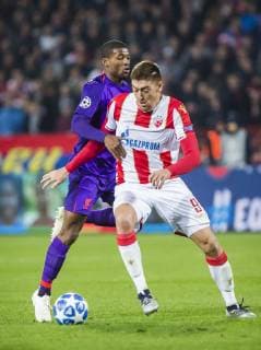 6th November 2018, FK Cukaricki Stadium, Belgrade, Serbia; UEFA Youth League football, Red Star Belgrade versus Liverpool; Milan Pavkov of Red Star Belgrade takes on Georginio Wijnaldum of Liverpool  ActionPlus12076837 NikolaxKrstic