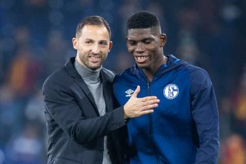 06 11 2018 xkvx football UEFA Champions League FC Schalke 04 Galatasaray Istanbul emspor v l FC Schalke 04 players celebrate victory coach Domenico Tedesco S04 Schalke 04 Breel Embolo S04 Schalke 04 DFL DFB REGULATIONS PROHIBIT ANY USE OF PHOTOGRAPHS as IMAGE SEQUENCES and or QUASI VIDEO Gelsenkirchen