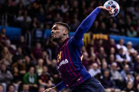 November 17, 2018 - Barcelona, Barcelona, Spain - Dika Mem, 24 of FC Barcelona Barca Lassa in actions during VELUX EHF Champions League match between Fc Barcelona Lassa and HC Vardar on November 17, 2018 at Palau Blaugrana, in Barcelona, Spain. Handball: VELUX EHF Champions League - Fc Barcelona Lassa v HC Vardar. - ZUMAa181 20181117_zaa_a181_020 Copyright: xAFP7x