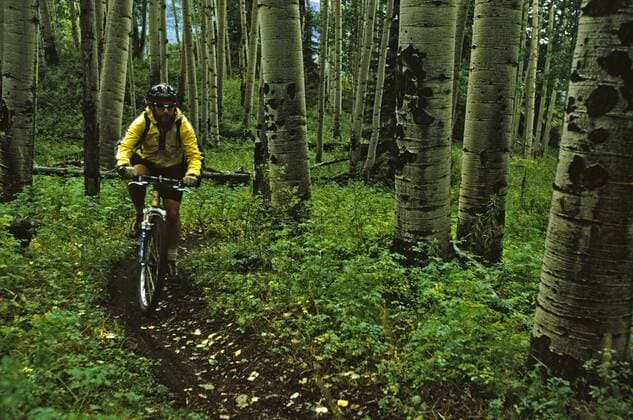 Jason Bean mountain biking though Aspen forest on the 35 trail , Telluride, Colorado (Photo by Whit Richardson Aurora), Telluride Colorado USA model released Symbolfoto  Copyright: WhitxRichardson 8783600016, imago 86265013  Copyright: WhitxRichardson