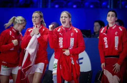 Handball, EM, Damen, Dänemark - Schweden Danmarks Sarah Iversen og Fie Woller under kampen mellem Danmark-Sverige i Nantes, Frankrig fredag den 30 november 2018.. , Nantes Frankrig  Copyright: Scanpix LiselottexSabroex COP101 spdk20181130-222111-L