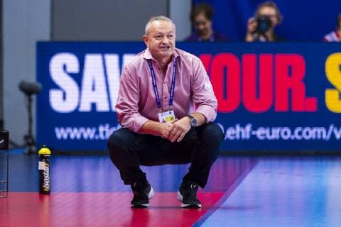 Handball Women European Championship Germany Czech Republic Preliminary Round Group D 3 Matchday in the Brest Arena Coach Jan Basny Czech Republic Brest Arena Brest France