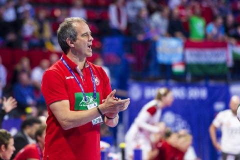 Handball Women European Championship Hungary Germany Main Round Group 2 2 Matchday at the Palais des Sports Coach Henk Groener Germany Gesture gesture gesticulated Nancy Palais des Sports Jean Weille France