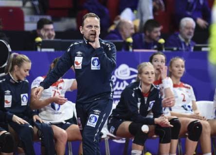 Handball, Damen EM, Spanien - Norwegen Hergeirsson Thorir HANDBALL : Championnat d Europe Feminin 2018 - Nancy 012 12 2018 - Espagne vs Norvege - 2e Tour MAO Panoramic 