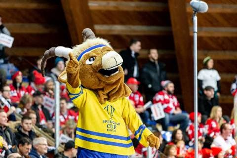 30 12 2018 Ice Hockey Season 2018 2019 Spengler Cup Semifinals Team Canada Thomas Sabo Ice Tigers Icetigers Nuremberg ThHa Hitsch Mascot Spengler Cup HC Davos