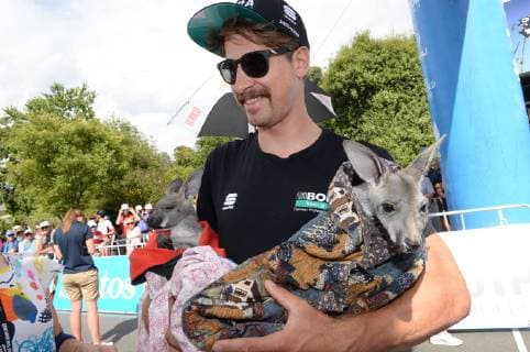 Sport Themen der Woche KW03 Sport Bilder des Tages 17-01-2019 Tour Down Under; Tappa 03 Lobethal - Uraidla; 2019, Bora - Hansgrohe; Sagan, Peter; Lobethal; 