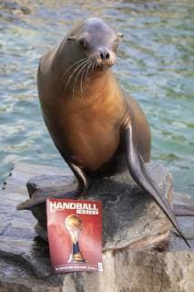 Oracle Astrid at the Zoo Handball WM Cologne Germany Date 18 01 2019