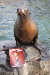 Oracle Astrid at the Zoo Handball WM Cologne Germany Date 18 01 2019