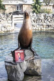 Oracle Astrid at the Zoo Handball WM Cologne Germany Date 18 01 2019