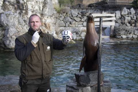 Orakel Astrid im Zoo Handball WM Koeln Germany Date 18 01 2019 Nurse Julian Heck