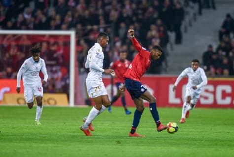 Rafael Alexandre Da Conceicao Leao ( LOSC ) - HERELLE Christophe ( Nice ) FOOTBALL : Lille OSC vs OGC Nice - Ligue 1 - Lille - 01 02 2019 FedericoPestellini Panoramic 
