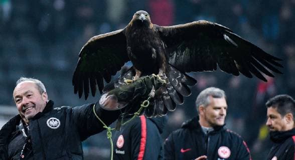 02 02 2019 xpsx Soccer 1 Bundesliga Eintracht Frankfurt Borussia Dortmund emspor v l attila mascot frankfurt adler DFL DFB REGULATIONS PROHIBIT ANY USE OF PHOTOGRAPHS as IMAGE SEQUENCES and or QUASI VIDEO Frankfurt am Main