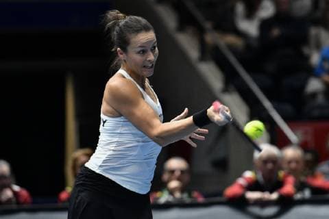GER Fed Cup 2019 kick-off Germany vs Belarus in Braunschweig 09 02 2019 Volkswagen Halle Braunschweig GER Fed Cup 2019 kick-off Germany vs Belarus in Braunschweig Tatjana Maria GER Porsche Team Germany at the forehand stroke nph Mauelshagen nph00321