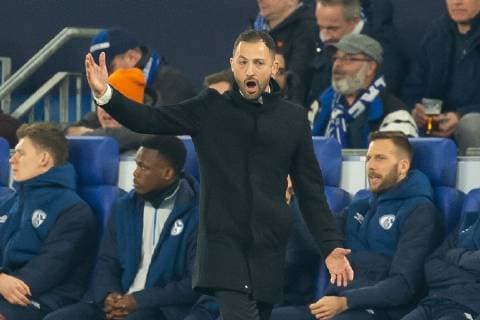 Gelsenkirchen Germany 20 02 2019 UEFA Champions League 2018 19 Season Round of 16 FC Schalke 04 Manchester City Coach Domenico Tedesco S04 gesticulated gestures DeFodi001