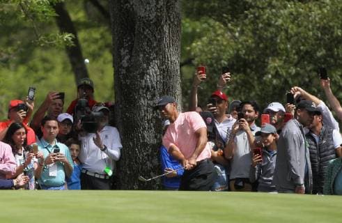 US golfer Tiger Woods in action during the World Golf Championship Mexico 2019 at the Chapultepec Golf Club, in Mexico City, Mexico, 22 February 2019. World Golf Championship Mexico !ACHTUNG: NUR REDAKTIONELLE NUTZUNG!  Copyright: xMarioxGuzmanx AME7355 20190222-636864740861477328