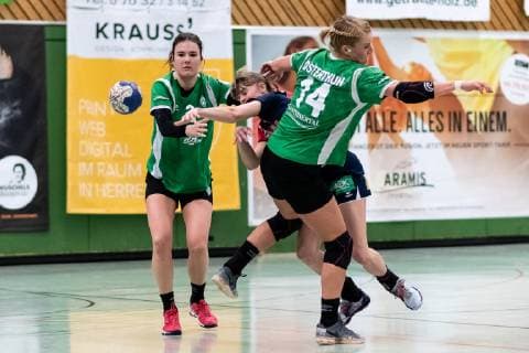 v li Merle Heidergott SV Werder Bremen 03 Katrin Friedrich SG H2Ku Herrenberg Kuties 09 Nele Osterthun SV Werder Bremen 14 SG H2Ku Herrenberg Kuties vs SV Werder Bremen Handball 2 Bundesliga Women HBF Season 18 19 02 03 2019 SG H2Ku Herrenberg Kuties vs SV Werder Bremen Handball 2 Bundesliga Women HBF Season 18 19 02 03 2019 Men Herrenberg Copyright: xEIBNER WolfgangxFrankx EP_WFK