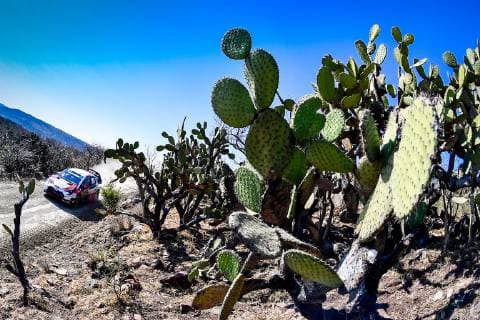 Ambiance Rallye Mexique AUTOMOBILE : WRC Motorsport Rallye WM Rally du Mexique - 07 to 10 03 2019 SPRESSE PANORAMIC 