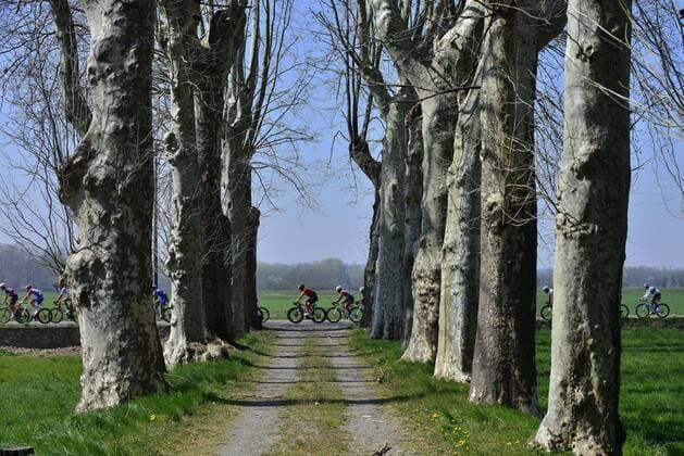 IPP20190323 Radsport - Cycling: Milano Sanremo 2019, passaggio del gruppo nella pianura pavese (Verwendung nur in Deutschland - GERMANY ONLY) *** IPP20190323 Cycling Cycling Milano Sanremo 2019 passaggio del gruppo nella pianura pavese Use only in Germany GERMANY ONLY 