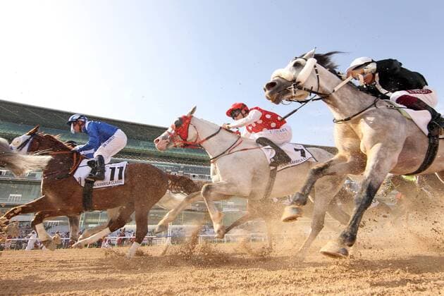 Sport Themen der Woche KW13 Sport Bilder des Tages 30.03.2019, Dubai, VAE - Horses and jockeys during the Dubai Kahayla Classic. Meydan racecourse. (Pferde, Jockeys, Pulk, Araberrennen, Sand, Sandbahn, Sandbahnrennen, Dirt, Dirttrack, Froschperspektive) 190330D522DUBAI_MEYDAN.JPG *** 30 03 2019 Dubai UAE Horses and jockeys during the Dubai Kahayla Classic Meydan racecourse Horses Jockeys Pulk Arabian race Sand Sand track Sand track Dirt Dirttrack Frog perspective 190330D522DUBAI MEYDAN JPG