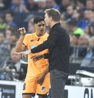 FC Schalke 04 TSG 1899 Hoffenheim 20 04 2019 Nadiem Amiri TSG and coach Julian Nagelsmann TSG gesticulate DFL REGULATIONS PROHIBIT ANY USE OF PHOTOGRAPHS AS IMAGE SEQUENCES AND OR QUASI VIDEO HM
