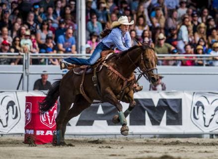 May 19, 2019 - Surrey, British Columbia, Canada - SHELBY SPIELMAN (USA) races around barrels during the Cloverdale Invitational Rodeo on May 19 2019 in Surrey, BC Canada. The Cloverdale Invitational Rodeo 2019 - ZUMAg236 20190519_spo_g236_011 Copyright: xCaraxGrimshawx