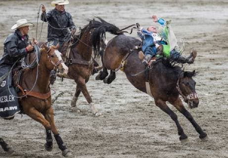 May 20, 2019 - Surrey, British Columbia, Canada - PASCAL ISABELLE (CAN) rides in the bareback competition at the Cloverdale Invitational Rodeo on May 20 2019 in Surrey, BC. The Cloverdale Invitational Rodeo 2019 - ZUMAg236 20190520_spo_g236_077 Copyright: xCaraxGrimshawx