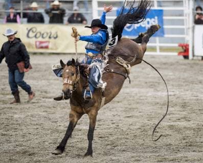 May 20, 2019 - Surrey, British Columbia, Canada - RUSTY WRIGHT rides in the saddle bronc competition at the Cloverdale Invitational Rodeo on May 20 2019 in Surrey, BC. The Cloverdale Invitational Rodeo 2019 - ZUMAg236 20190520_spo_g236_071 Copyright: xCaraxGrimshawx
