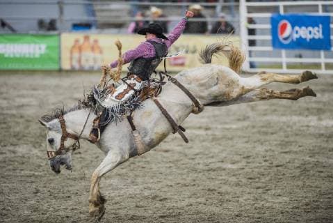 May 20, 2019 - Surrey, British Columbia, Canada - CHASE BROOKS from Deer Lodge MT rides in the saddle bronc competition to finish 2nd with a score of 90 at the Cloverdale Invitational Rodeo on May 20 2019 in Surrey, BC. The Cloverdale Invitational Rodeo 2019 - ZUMAg236 20190520_spo_g236_049 Copyright: xCaraxGrimshawx